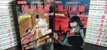 日本战国 漫画,漫画中的日本战国时代