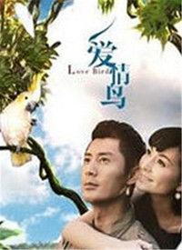 爱情鸟视频,浪漫瞬间，见证甜蜜爱情