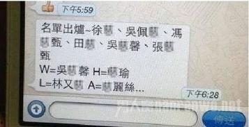 李宗瑞与吴佩慈 视频,揭秘背后真相与争议