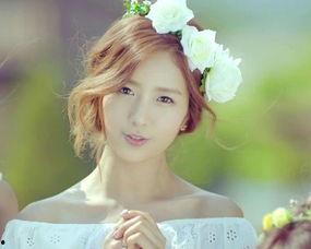 明星花图片大全,明星花图片大全赏析