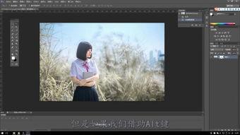 ps基础教程视频全集,从入门到精通的视觉艺术之旅